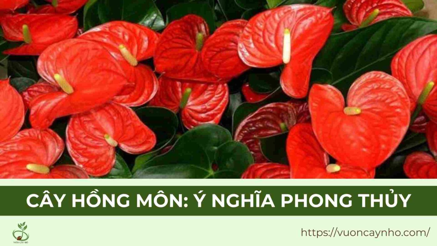 y nghia trong phong thuy