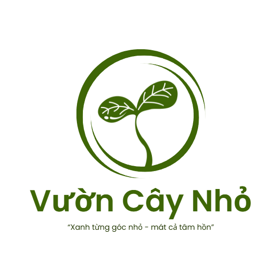My Blog