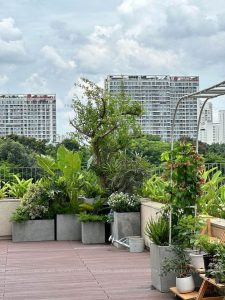 Cây xanh trồng ngoài sân – Không gian thư giãn trên cao